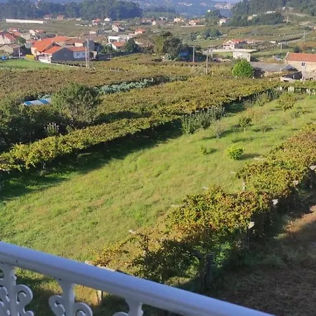 Casa de hóspedes Casa Rodino