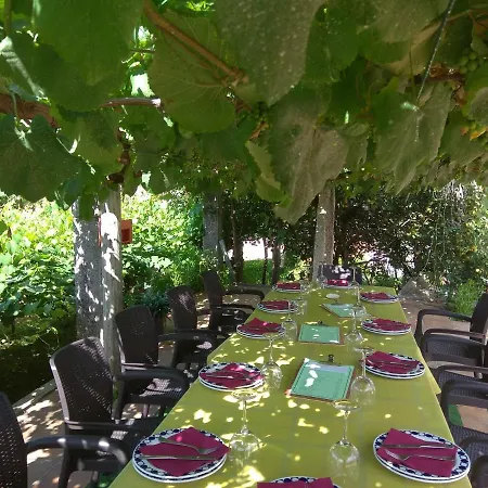 Casa de hóspedes Casa Rodino