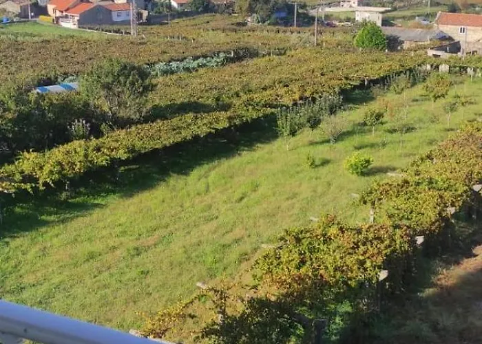 Affittacamere Casa Rodino